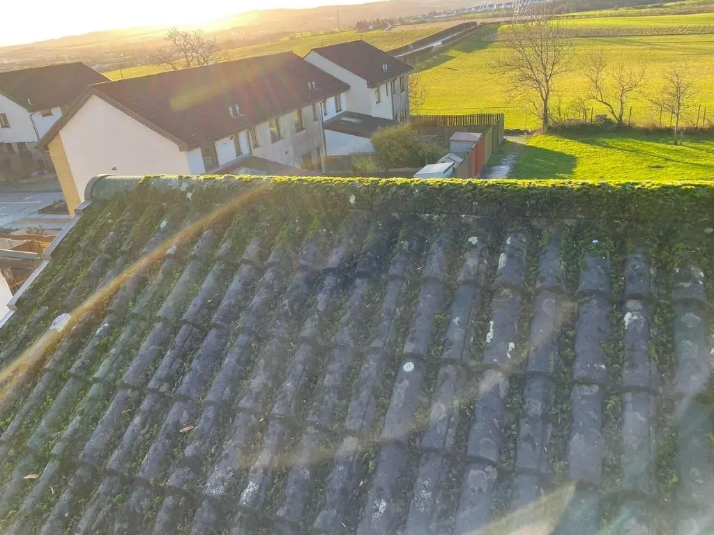 Roof Cleaning at height Cherry Picker Hire in Houston Renfrewshire