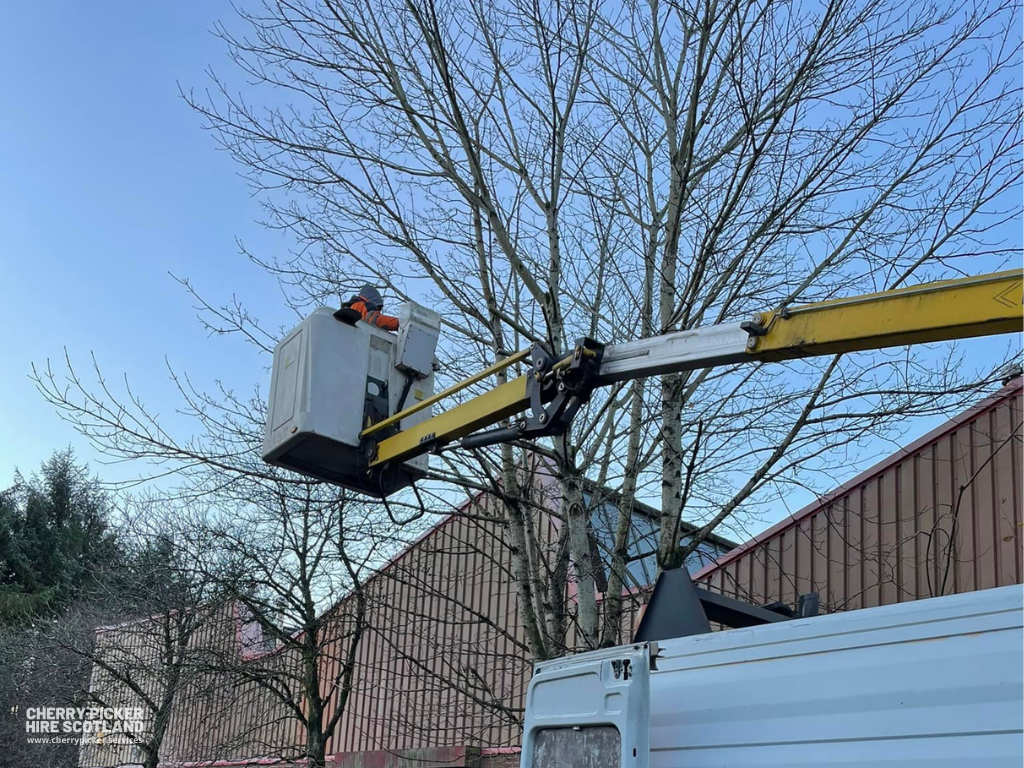 surgeon-tree-cherry-picker-hire-with-operator